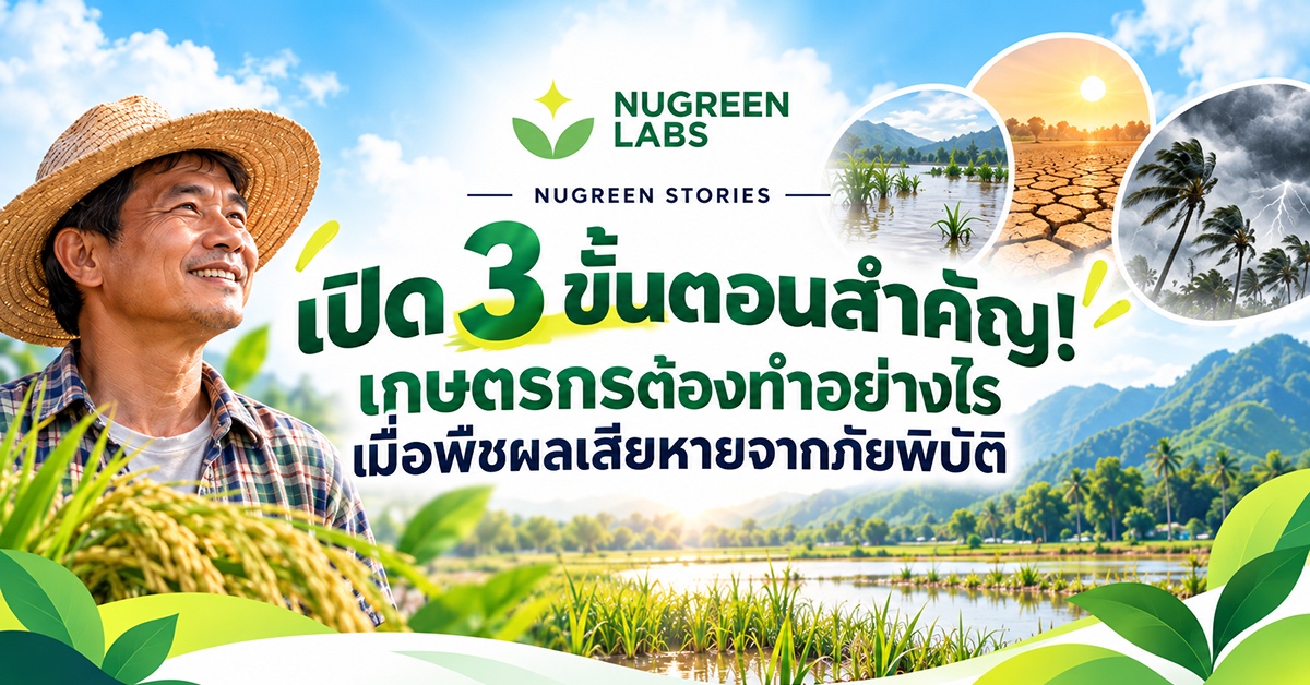 ข่าวสาร